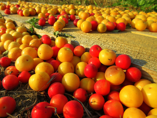 1195631 (a): :2560x1920